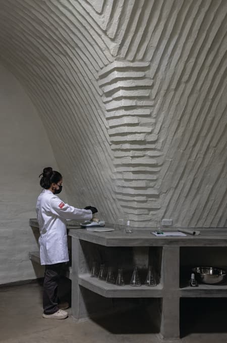 Witoca Lab